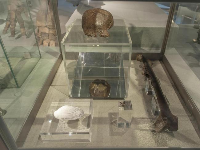 The Naturalis museum, which holds the skull, said it ”would not have been found if the Dutchman Dubois had not set up an excavation"