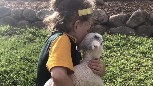 A Samford mum is scared to let her children walk outside their house after they woke to find their one-week-old baby lamb grotesquely ripped apart. Source: Facebook