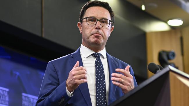 Nationals leader David Littleproud. Picture: NewsWire/Martin Ollman