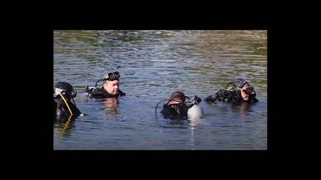 Divers search for stonefish on Gold Coast