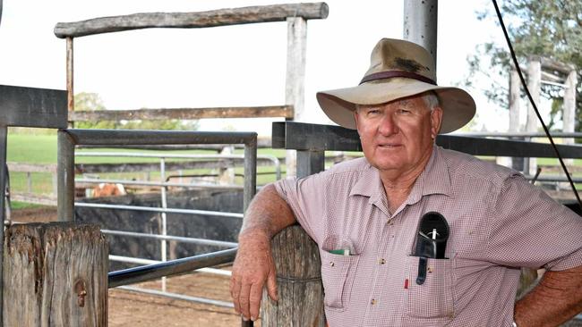 DISGUSTED: Cattle agent Bill Hallas is upset and appalled by the recent farm protests by animal activists. Picture: Meg Bolton