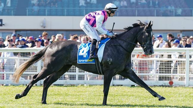 Sghirripa had little luck in the Oakleigh Plate but produced some quick sectionals. Picture: Scott Barbour/Racing Photos via Getty Images