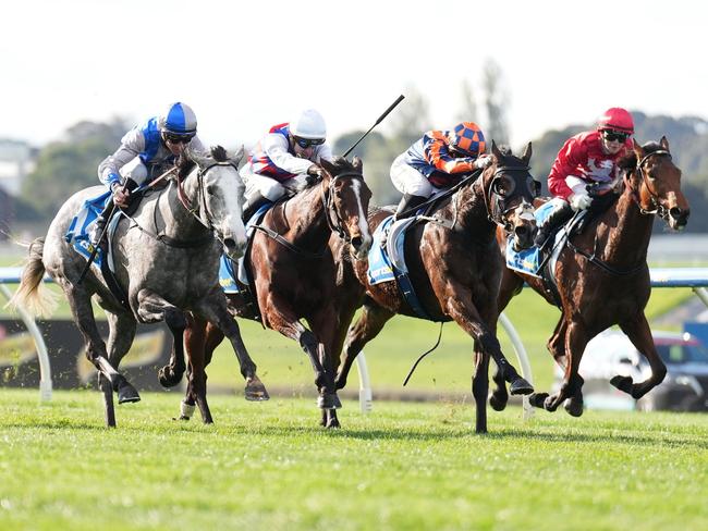 Arqana ridden by Jye McNeil wins the Sportsbet Fast Form Handicap at Sportsbet Sandown Hillside Racecourse on June 15, 2024 in Springvale, Australia. (Photo by Scott Barbour/Racing Photos via Getty Images)