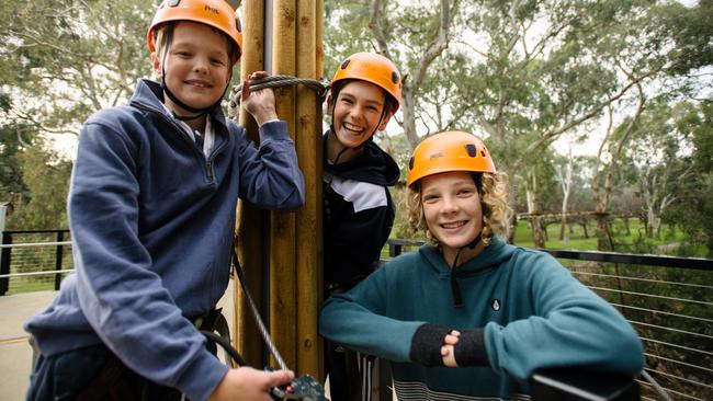 James, 12, Darcy, 13 and Harry, 12, enjoying the tree tops at the TreeClimb Adelaide. Picture: Morgan Sette