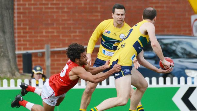 North's Frank Szekely tackles Patrick Giuffreda. Picture: AAP/Brenton Edwards