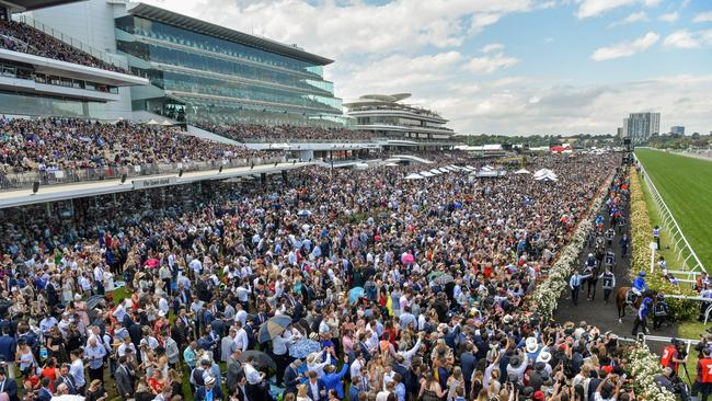 Horses are led to the track before the running of the Lexus Melbourne Cup at Flemington Racecourse on November 06, 2018