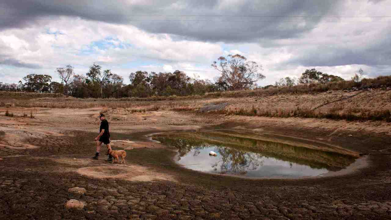 Drought is cancer-like in the Granite Belt