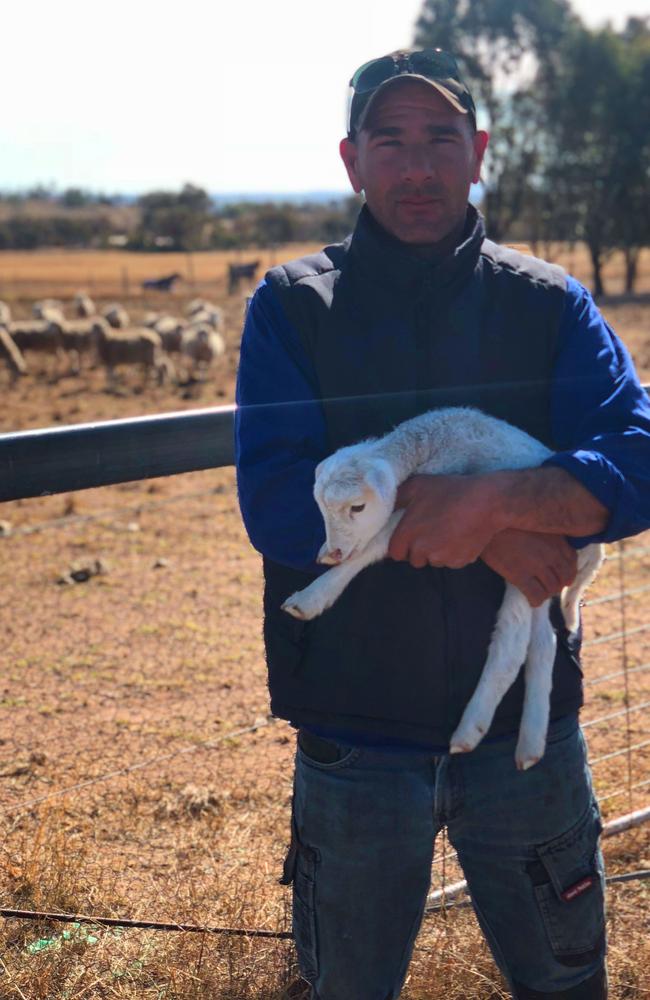 Andrew and his wife are now hand rearing some of the young lambs whose mothers died.