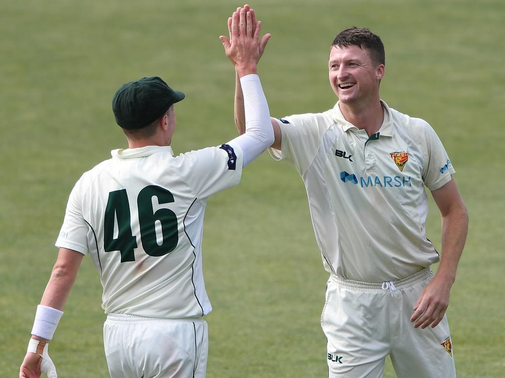 Jackson Bird of the Tigers celebrates a wicket.