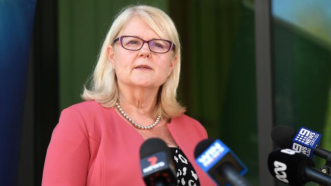 Border Protection Minister Karen Andrews. Picture: Matt Taylor