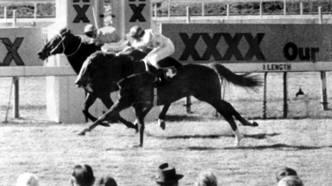 Bold Personality (inside) – racing as Fine Cotton – wins from Harbour Gold at Eagle Farm 1984.