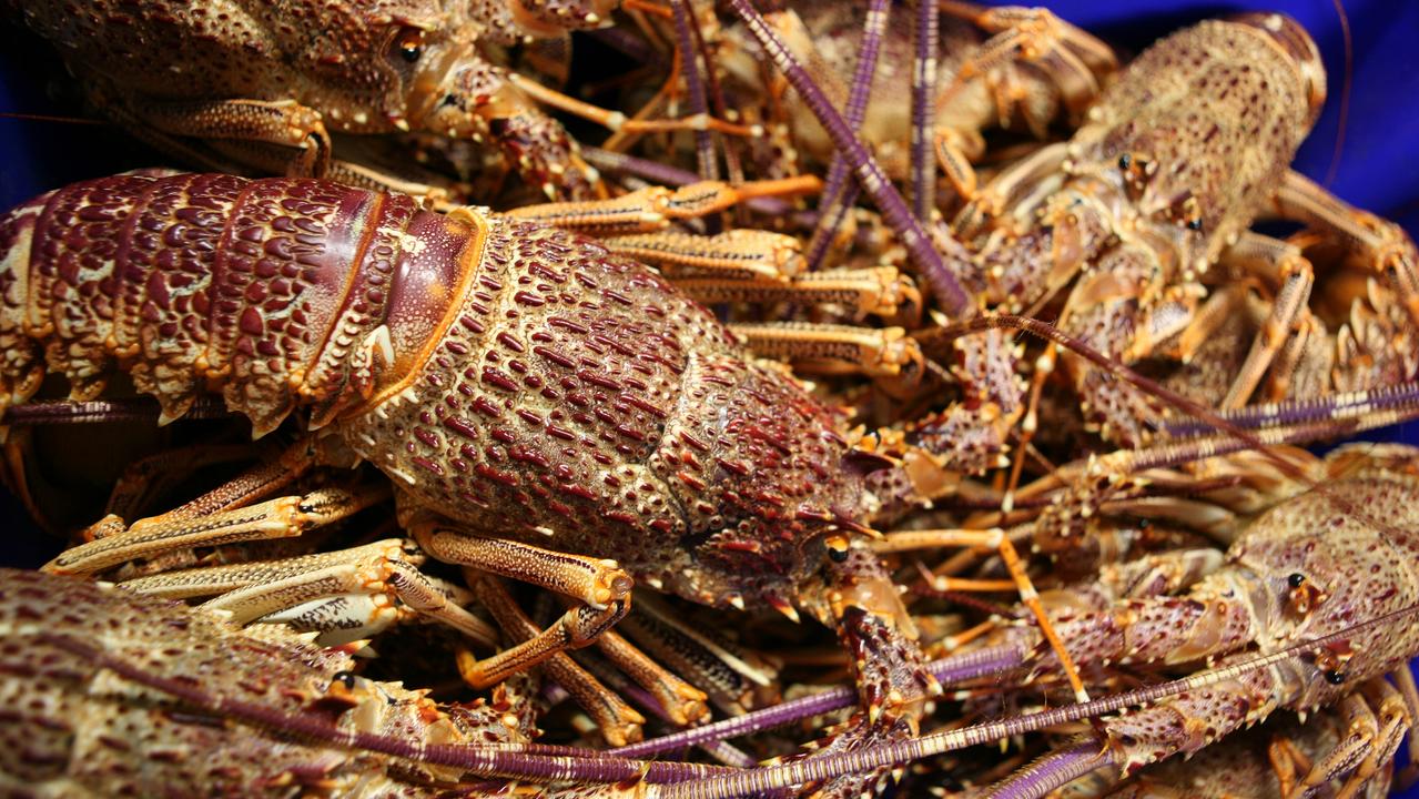 The WA Premier says the crayfish industry appears to be the latest victim of Australia’s weakening relationship with China.