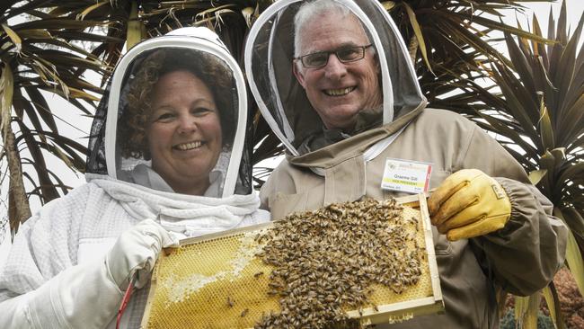 Southside Beekeepers Chrissy Robertson and Graeme Gill are urging people not to exterminate swarms. Picture: Valeriu Campan