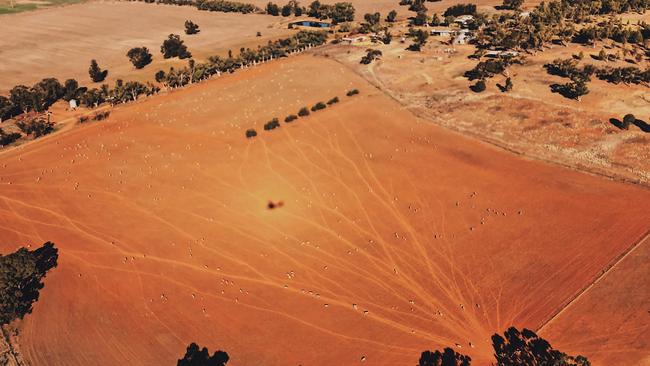 Edwina has seen first hand the devastation of the drought on rural families and communities.