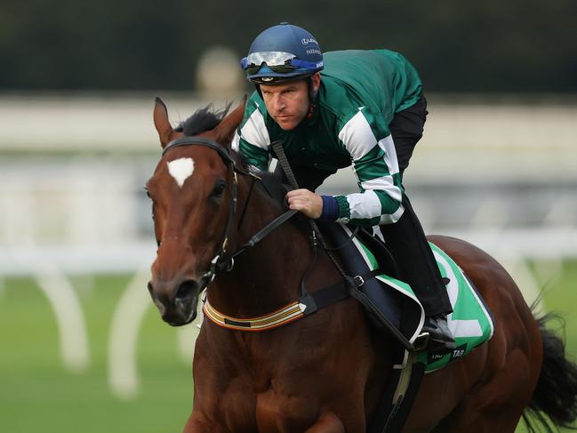 SYDNEY, AUSTRALIA - APRIL 09: Tommy Berry rides Place Du Carrousel during TAB Trackwork with the Stars at Royal Randwick Racecourse on April 09, 2024 in Sydney, Australia. (Photo by Mark Metcalfe/Getty Images)