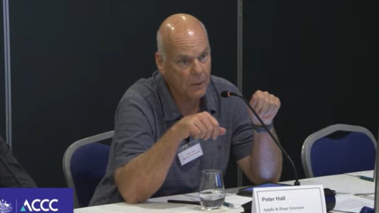 Fruit grower Peter Hall appears at the ACCC public hearing on supermarkets on November 8, 2024. Picture: Supplied