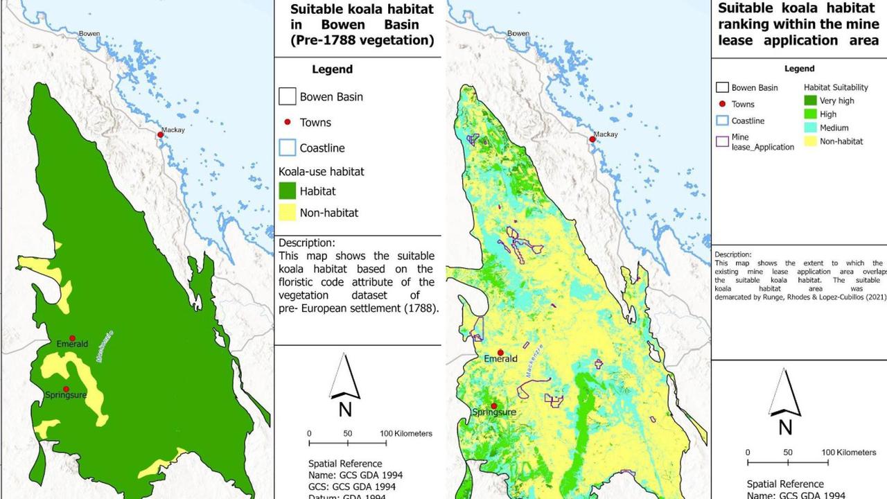 17,000 times size of Gabba: Koala habitat in Bowen Basin under threat ...