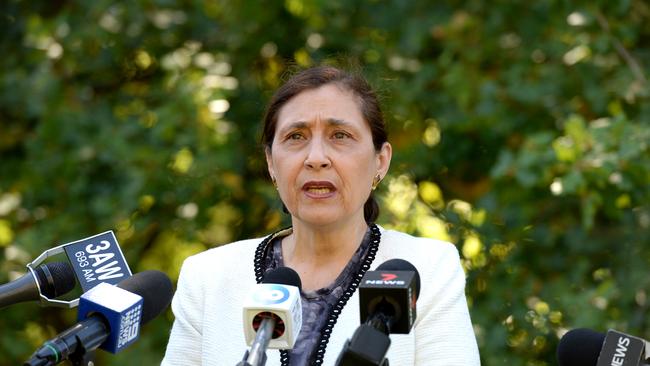 Environment Minister Lily D'Ambrosio speaks at Parliament House in Melbourne. Picture: NCA NewsWire / Andrew Henshaw