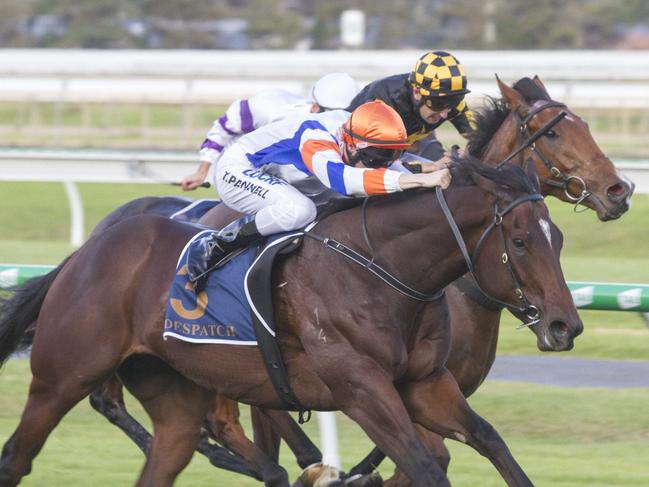 Despatch holds off the fast-finishing Behemoth to win the Adelaide classic. Picture: Atkins Photography