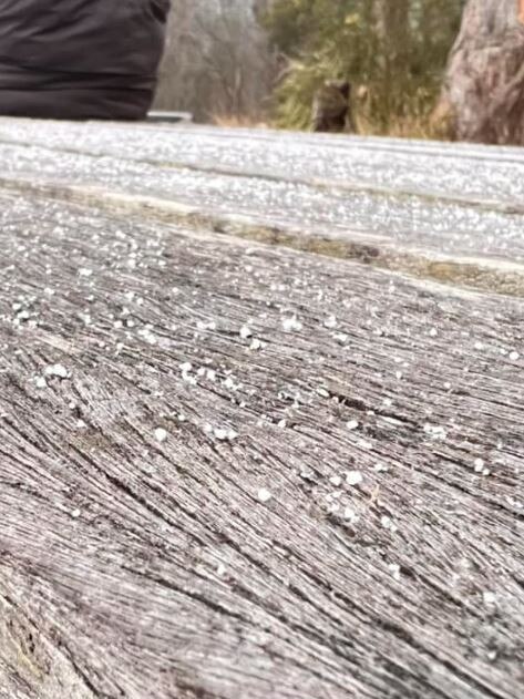 Snow is being reported at Mount Mackenzie near Tenterfield. Picture: Leo Perkins