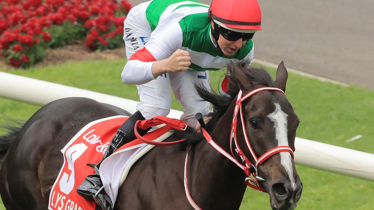 Damian Lane win the Cox Plate on Lys Gracieux. Picture: Getty Images