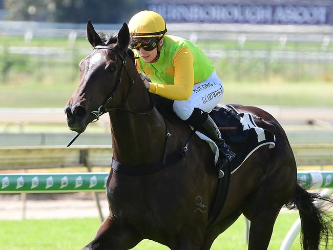 Tiger Heart winning at Doomben. Picture: Trackside Photography