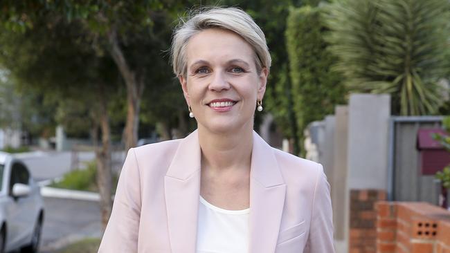 Labour deputy leader Tanya Plibersek. Picture: Justin Lloyd