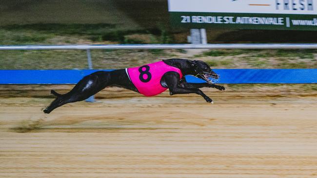 The Bill would also outlaw greyhound racing.