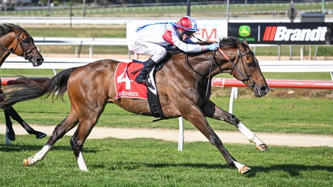 Consistent schooling over jumps has formed part of Mystery Island’s run of solid form for trainer Shane Jackson. Picture: Racing Photos via Getty Images