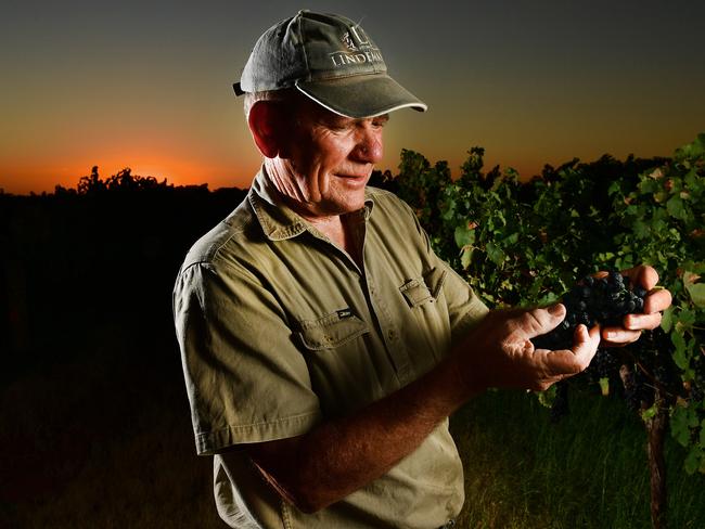 9/03/2017 Riverland .Chris Byrne executive officer of Riverland wines  on his property at Loxton amongst one of  his premium vineyards.Picture Mark Brake