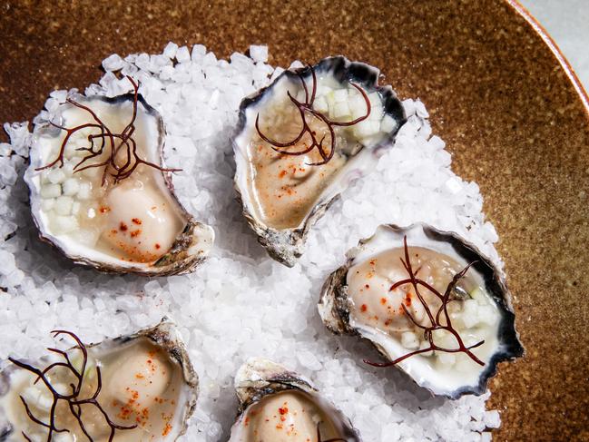 Oysters with sherry by Lennox Hastie. Photo: Nikki To