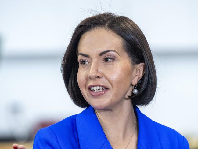 SYDNEY, AUSTRALIA. NewsWire Photos.July 31, 2024.Deputy Premier and Education and Early Learning Minister Prue Car announces  the NSW Government and South Australian GovernmentÃs Social Media Summit at Condell Park High School. Picture: NewsWire / Jeremy Piper