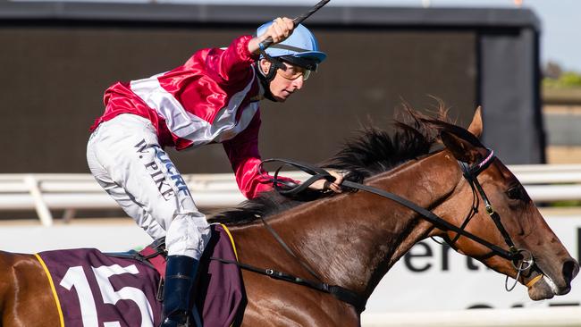 WA filly Arcadia Queen is set to show her talents on the east coast. Picture: AAP