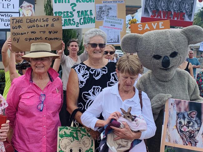 Koala Protests