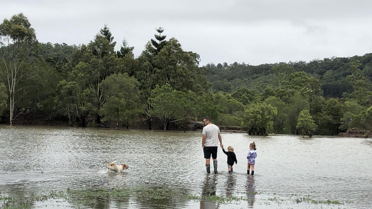 Carl Oddie from Pacific Pines and his daughters check out the flooding with Dougie the dog. Photo: Jeremy Pierce