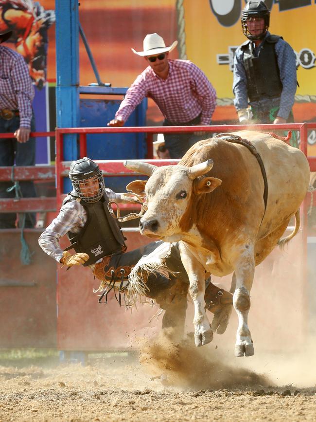 The bull ride action was fast and furious.