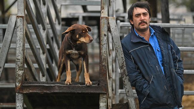 Cattle farmer Hayden King, on his property north of Toowoomba, is concerned about foot and mouth, but ‘there is a lot of fearmongering going on’. Picture: Lyndon Mechielsen