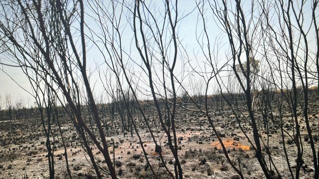 The aftermath of the bushfire south of Tennant Creek in Central Australia, October 2024. Picture: David Curtis Snr