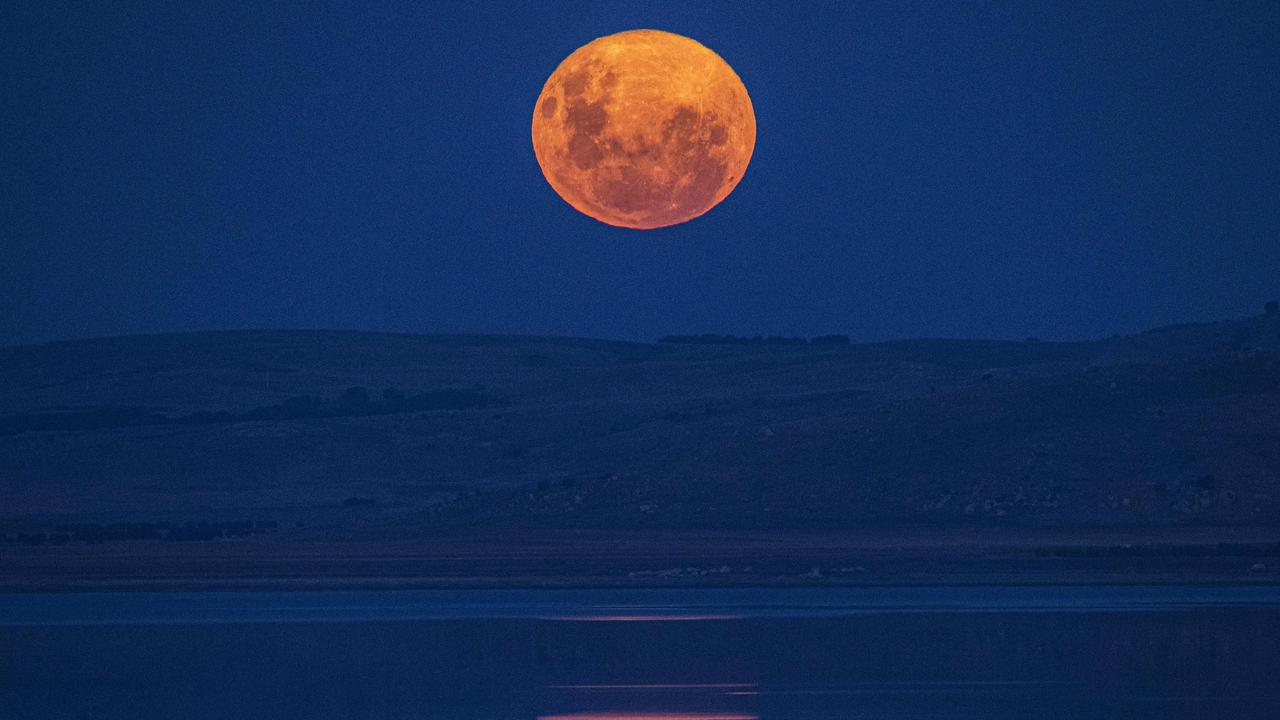 The “pink” supermoon in Canberra on Tuesday. Picture: NCA NewsWire / Gary Ramage