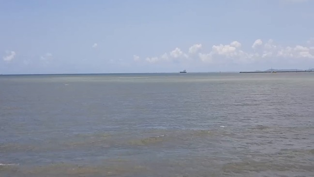 Crocodile spotted swimming off The Strand