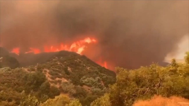 Firefighters Battle to Contain Apple Fire as Blaze Grows to Over 20,000 ...