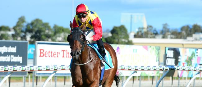 Jockey Ryan Wiggins rides Parko to a win at the Gold Coast Turf Club. Picture: AAP Image/Trackside Photography.