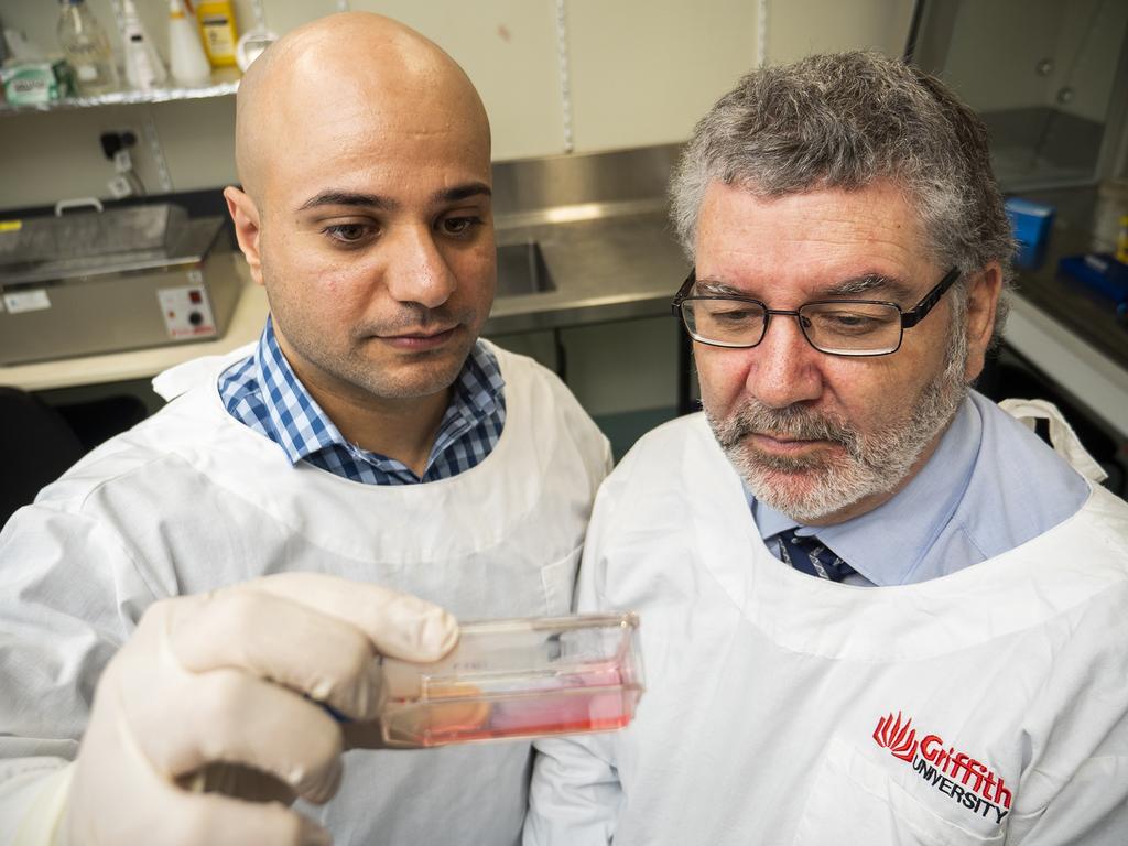 Dr Luqman Jabair and Professor Nigel McMillan from Menzies Health Institute Queensland, Griffith University. Picture: Griffith University