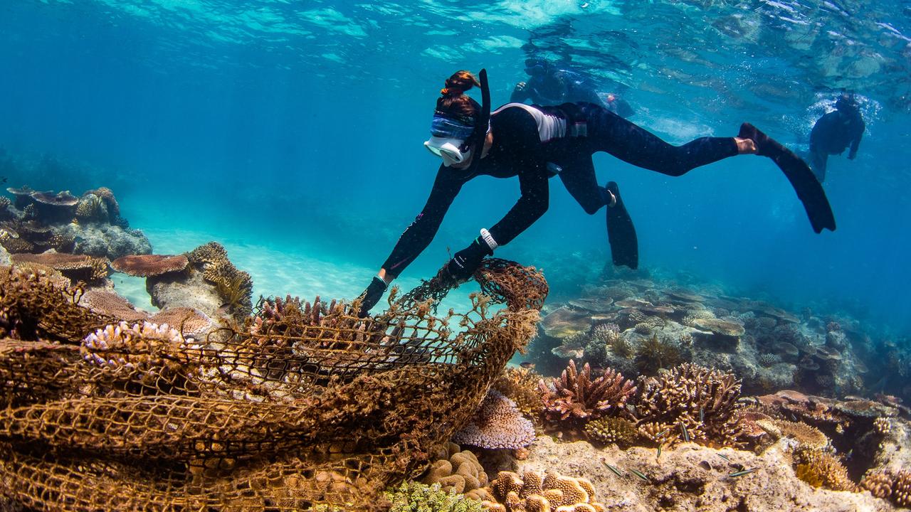 Woman unleashes on ‘underwhelming’ Great Barrier Reef visit | news.com ...