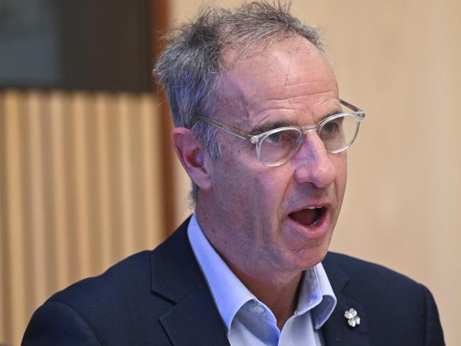 CANBERRA, AUSTRALIA, NewsWire Photos. APRIL 16, 2024: Senator Nick McKim questions Woolworths CEO, Bradford Banducci at the Senate Select Committee on Supermarket Prices at Parliament House in Canberra. Picture: NCA NewsWire / Martin Ollman