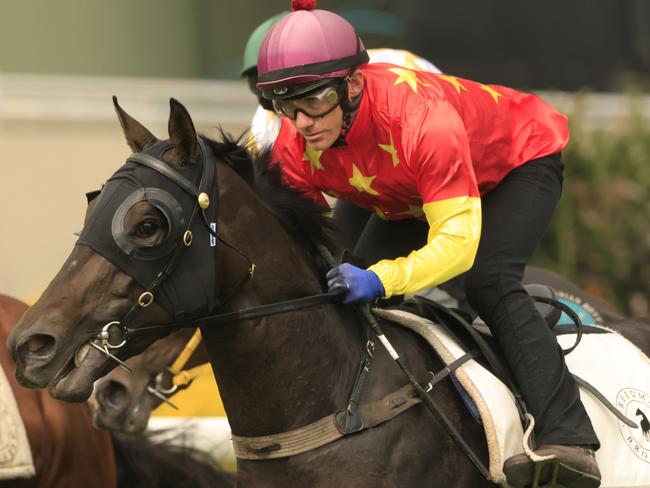 SYDNEY, AUSTRALIA - MARCH 11: Luke Currie on Artorius competes in heat 6 during the barrier trials at Royal Randwick Racecourse on March 11, 2021 in Sydney, Australia. (Photo by Mark Evans/Getty Images)