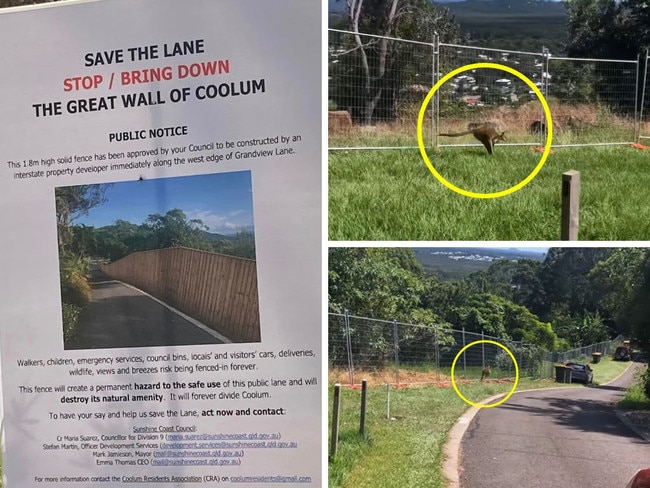 'Great Wall of Coolum' causing chaos.