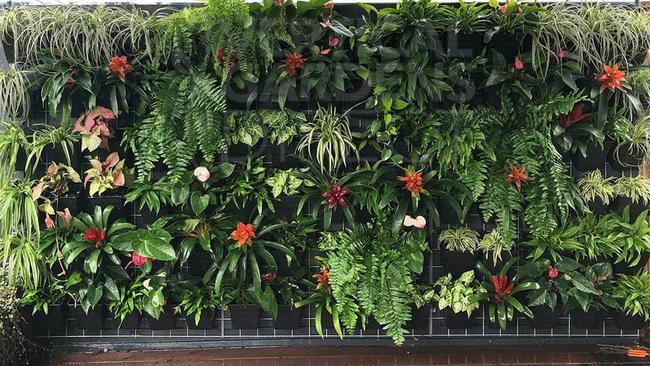 Wallgarden Multi-hang Vertical Garden Kit