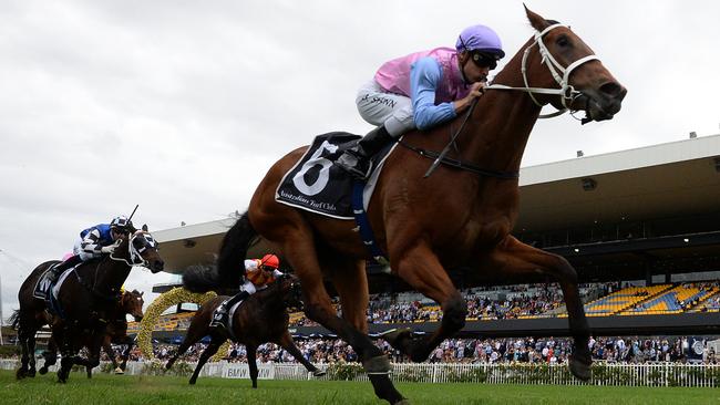 Best Guess will be shooting for back to back wins on Saturday.