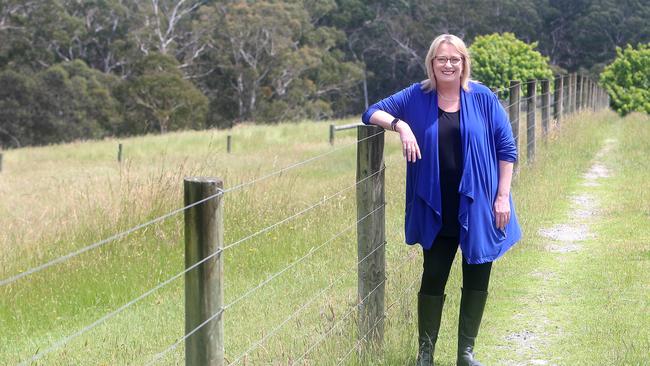 Victorian Agriculture Minister Ros Spence. File picture: Yuri Kouzmin (2023).
